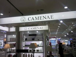 秦皇島小馬廣告策劃 專業(yè)廣告設(shè)計，全方位產(chǎn)品展示解決方案