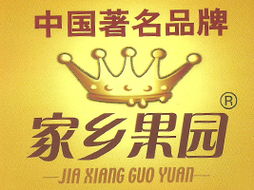 勝隆飲料食品廠江蘇徐州代理意向與軟件開發(fā)整合策略