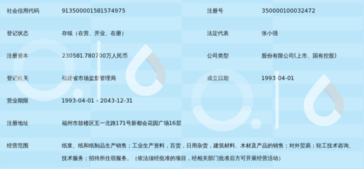 福建省青山紙業(yè)股份有限公司 紙制品銷(xiāo)售的戰(zhàn)略布局與市場(chǎng)競(jìng)爭(zhēng)力分析